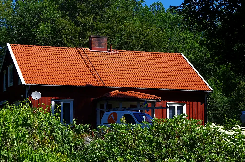 Roof with moss and algae growth before treatment